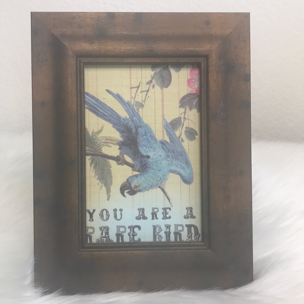 Accent Picture Frame “You are a Rare Bird” Home Decor Farmhouse Brown Blue Cute